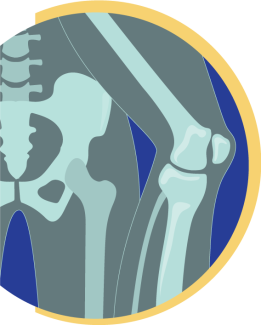 Icon Hüfte &amp; Knie